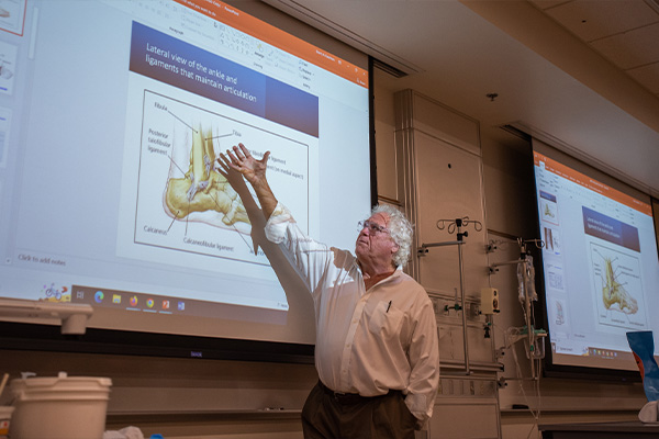 A teacher pointing at a screen and teaching